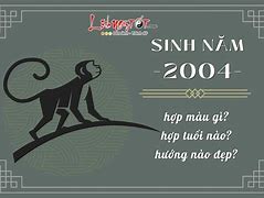 16 Tháng 5 Năm 2004 Là Cung Gì