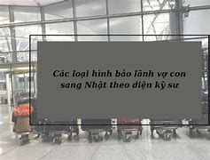 Bảo Lãnh Theo Visa Kỹ Sư Nhật Có Được Không