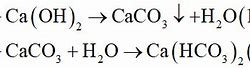 Co2 Dư Vào Nước Vôi Trong