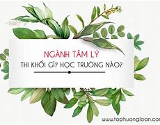 Học Tâm Lý Thi Khối Nào